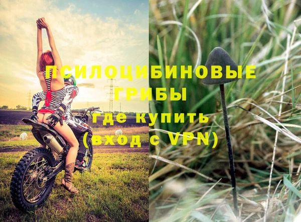 эйфоретик Баксан