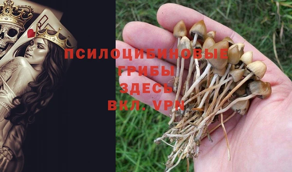 эйфоретик Баксан