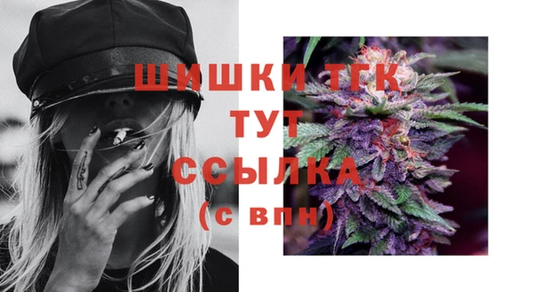 эйфоретик Баксан