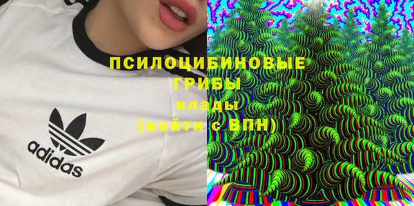 эйфоретик Баксан