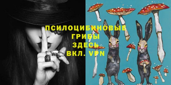 эйфоретик Баксан
