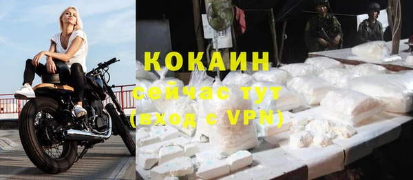 эйфоретик Баксан