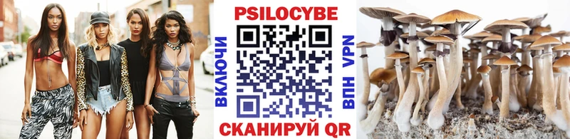 Купить  Бутурлиновка  Галлюциногенные грибы GOLDEN TEACHER 